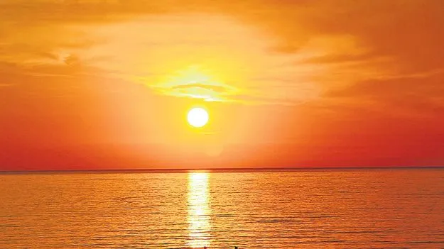 Lives Deprived of Sunlight: ఎండ తగలని జీవితాలు