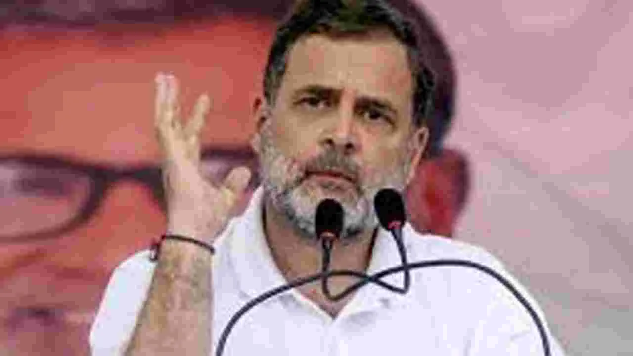 Rahul Gandhi: ఆమె ఎవరు