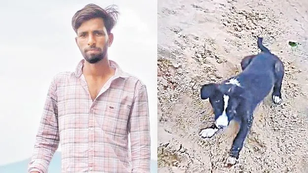 Rabies: పెంపుడు కుక్క గోరు గుచ్చుకొని రేబిస్‌