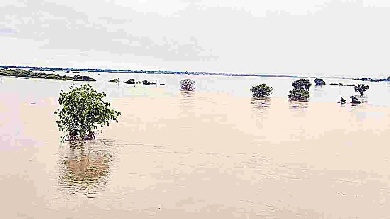 Manjeera River: మంజీర ఉగ్ర రూపం