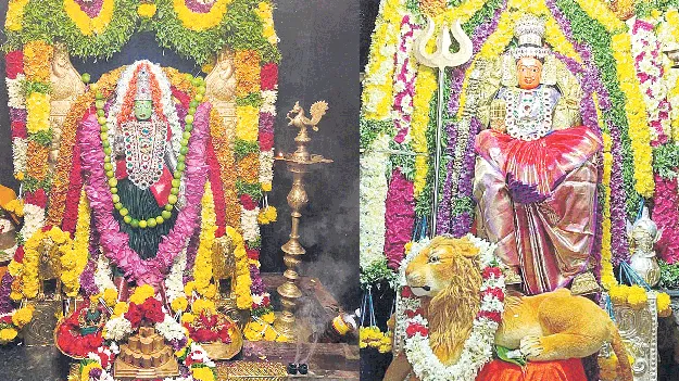 వివిధ రూపాల్లో పూజలందుకున్న అమ్మవార్లు