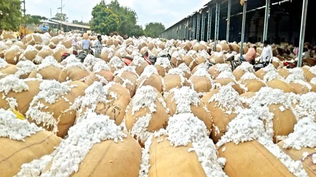 పత్తి క్వింటం రూ. 7,639