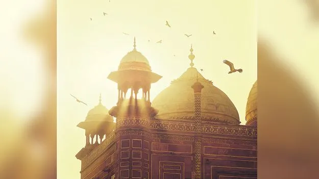 Misery of Misers: ఆ గుణం అనర్థం