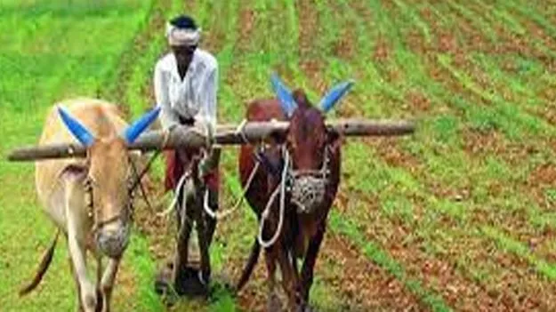 Rythu Nestham Awards: 26న రైతు నేస్తం పురస్కారాలు