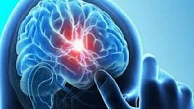 Brain Inflammation: ఆ 14 మంది చిన్నారుల మృతికి  మెదడువాపు వ్యాధే కారణమా?