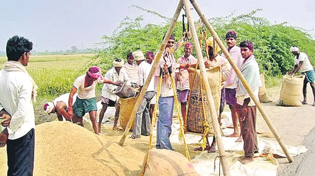 Crop Procurement Begins: పంటల కొనుగోళ్లకు వేళాయె!