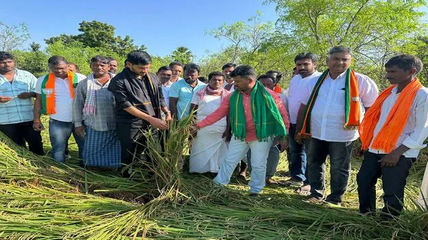 బాధిత రైతులకు పరిహారం చెల్లించాలి 