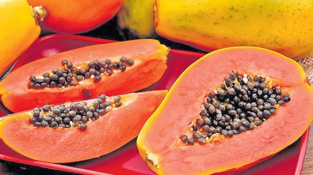 Papaya Benefits: ఔషధాల గని