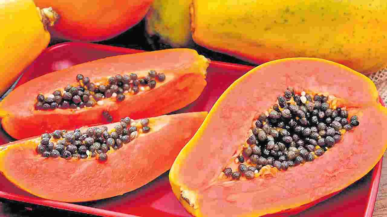 Papaya Benefits: ఔషధాల గని