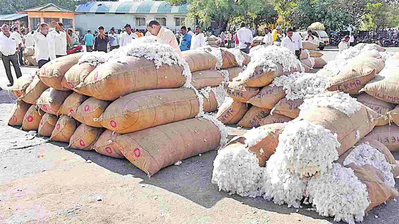 Cotton Purchases: వారంలోగా పత్తి కొనుగోళ్లు షురూ!