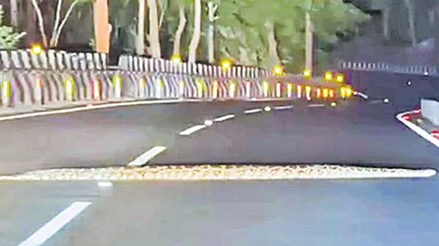 Giant Python Spotted on Tirumala: తిరుమల ఘాట్‌రోడ్డులో కొండచిలువ!