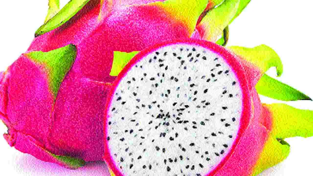 Tasty New Recipes with Dragon Fruit: డ్రాగన్‌ ఫ్రూట్‌తో కొత్తగా...