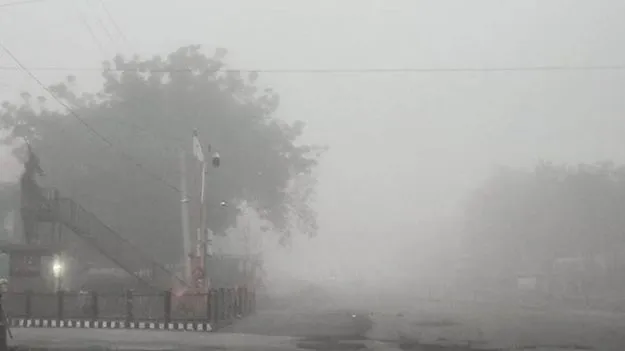 Cold Wave Grips Telangana: వణికిస్తున్న చలిపులి