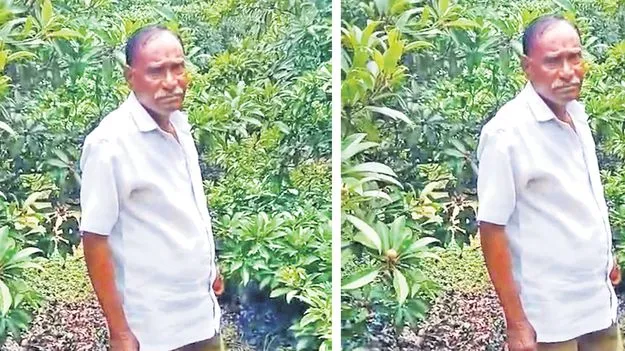 Minor Girl Assaulted: తాతయ్యనని చెప్పి.. తోటలోకి తీసుకెళ్లి..! 