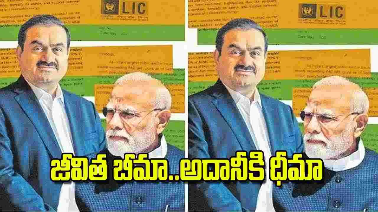 Investment in Adani Raises: జీవిత బీమా..అదానీకి ధీమా