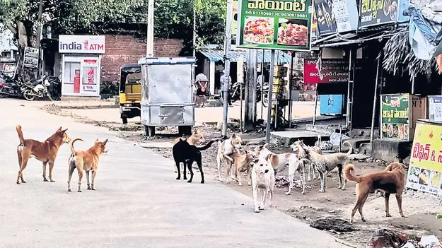 భౌబోయ్‌ అరుస్తాయ్‌.. కరుస్తాయ్‌