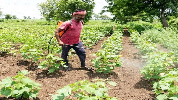 kumaram bheem asifabad- పురుగుల మందుతో జాగ్రత్త