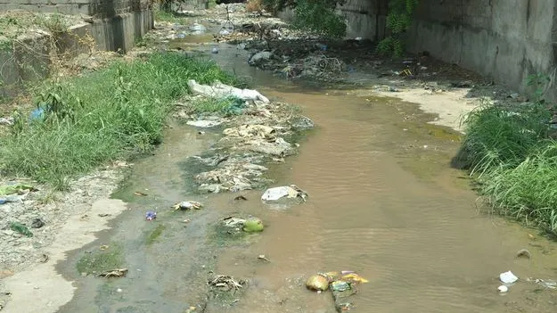 పారిశుధ్యం అస్తవ్యస్తం...