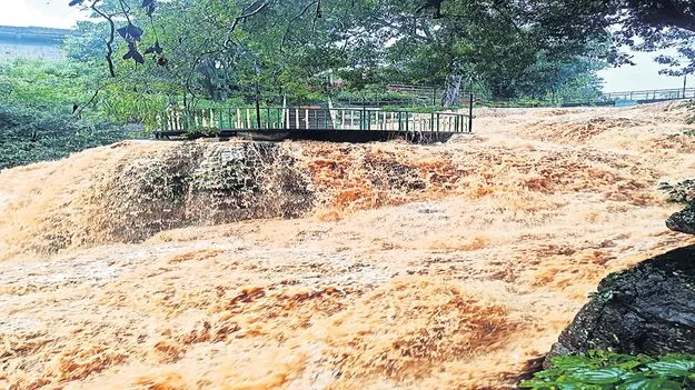 మన్యంలో భారీ వర్షం