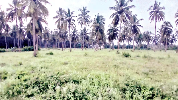 పట్టాలు సరే స్థలాలేవీ?