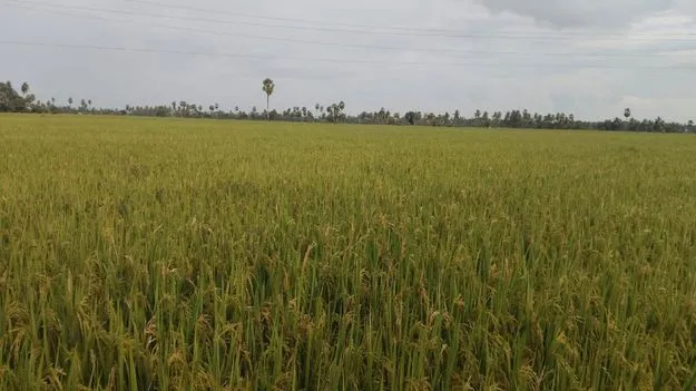   మీ భూమి కనిపించడం లేదు