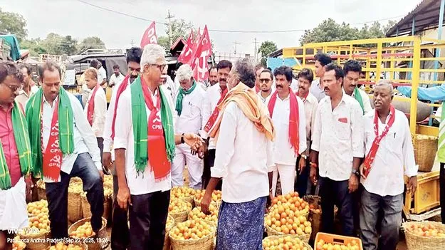 టమోటా జ్యూస్‌ ఫ్యాక్టరీ ఏర్పాటు చేయాలి