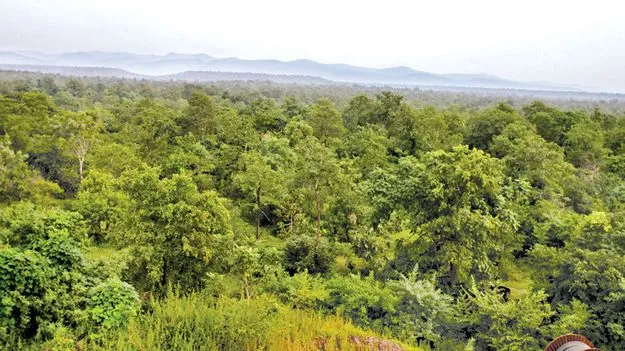    అటవీశాఖలో అవినీతి..!