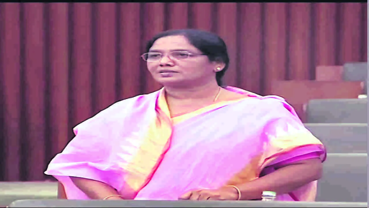 MLA SUNITHA : ఆర్డీటీ మా జిల్లాలకు వరం