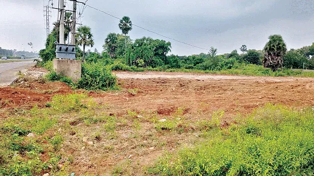 Is it a pond? చెరువేదీ?