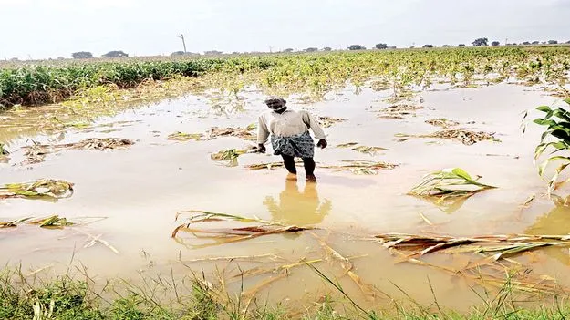     నిండా ముంచిన తుపాను  