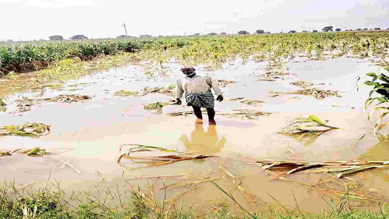     నిండా ముంచిన తుపాను  