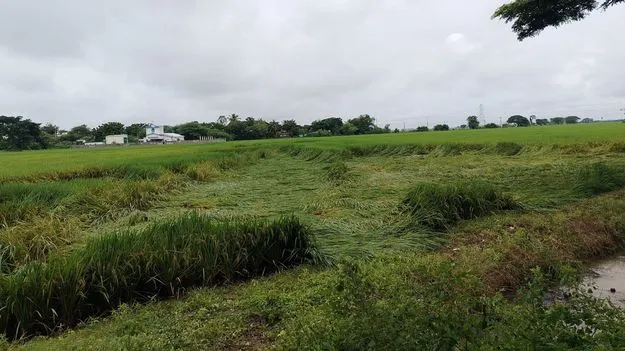 జిల్లాలో పలు చోట్ల భారీ వర్షం