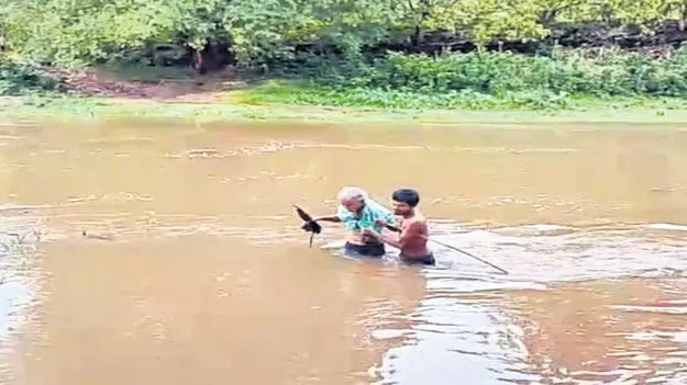 మన్యంలో భారీ వర్షం