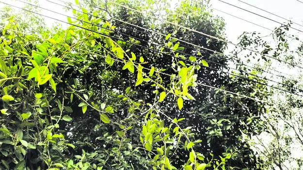 ELECTRICITY: విద్యుత సరఫరాలో నిత్యం అంతరాయం