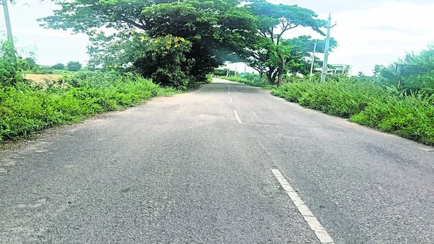 ROAD: ముళ్ల పొదలతో ఇబ్బందులు