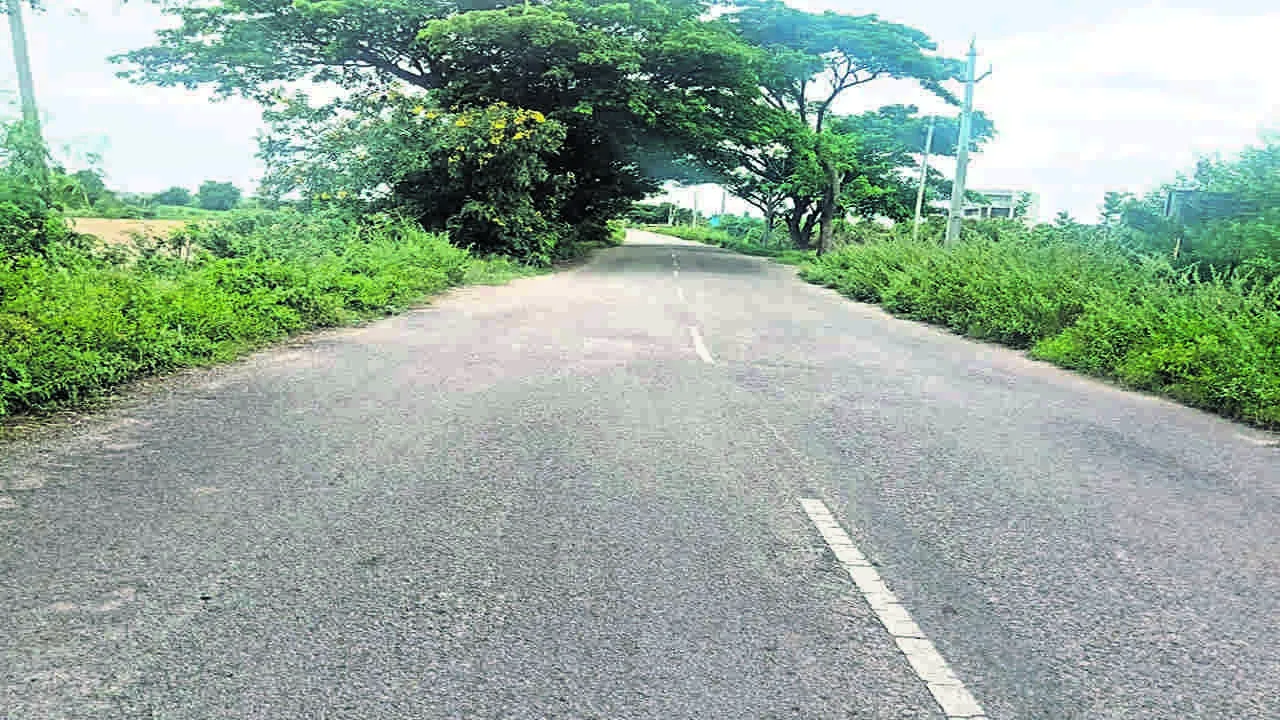 ROAD: ముళ్ల పొదలతో ఇబ్బందులు