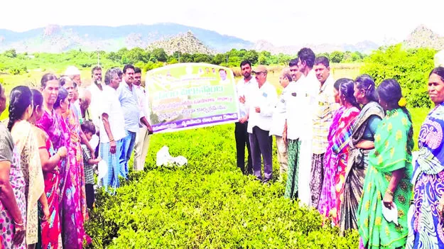 ADA: సేంద్రియ ఎరువులను అమ్ముకోవద్దు : ఏడీఏ