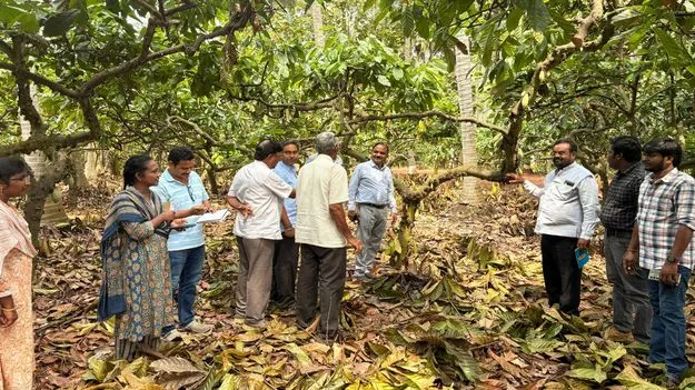 బహుళ పంట విధానం రైతుకు లాభం