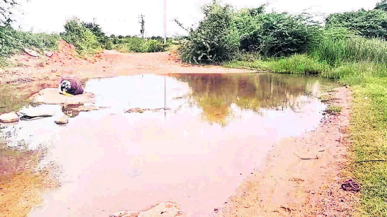 WATER: వాగు దాటాల్సిందే..!