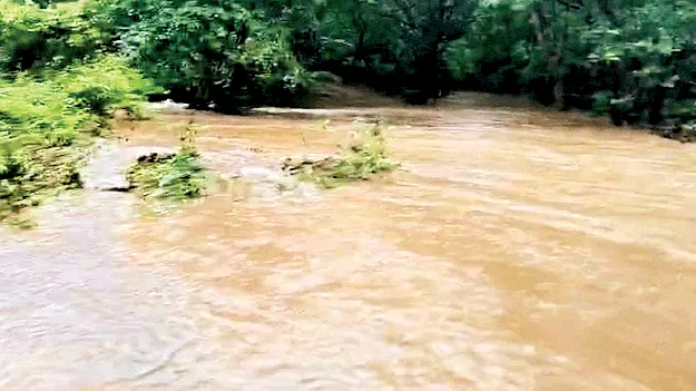 వీడని వాన