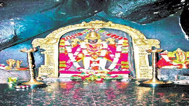 అలంకరణ తొలగింపు తేదీ పొడగింపు      