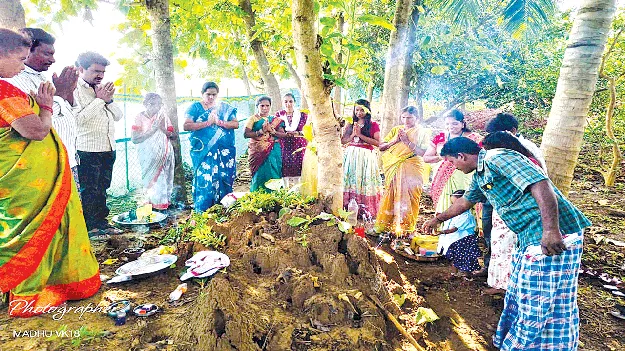 భక్తిశ్రద్ధలతో నాగుల చవితి