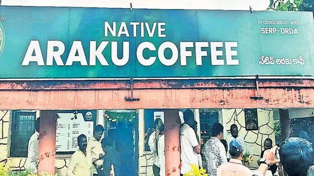 వాడవాడలా అరకు కాఫీ ఘుమఘుమలు