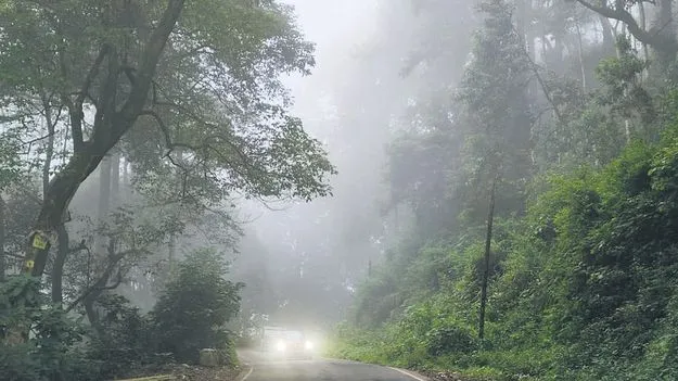 మన్యంపై మంచు దుప్పటి