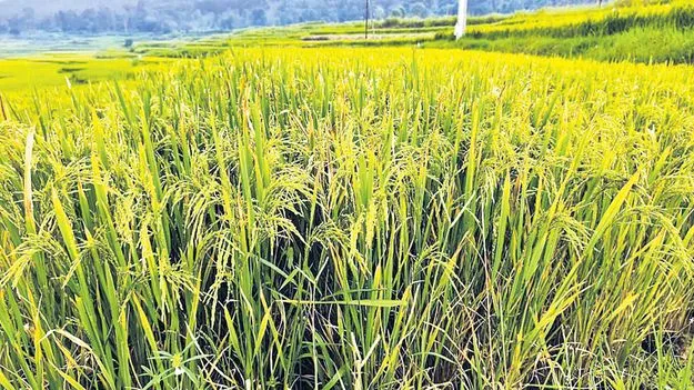 అన్నదాతల ఆందోళన 