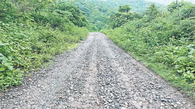 పెదకోట-జాలడ రోడ్డుకు మోక్షం