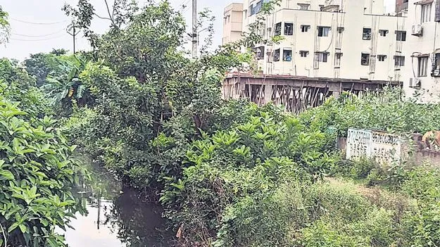 చినముషిడివాడలో చెరువు కబ్జా