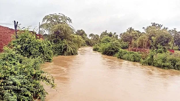 జిల్లాలో మోస్తరు వర్షాలు