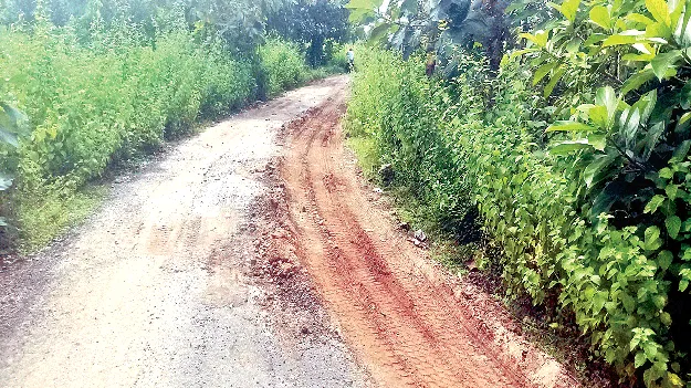 The road is bad condition రోడ్డు ‘తారు’మారు