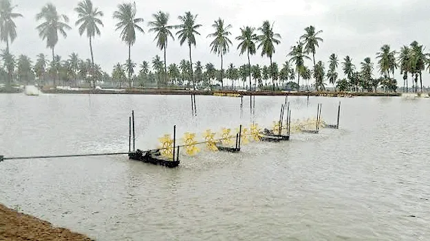 మొంథా గండం